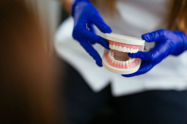 Best Preventive Dentistry  in Rutland, VT